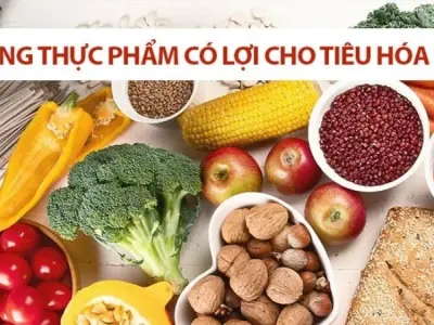 Ăn gì để cải thiện hệ vi sinh đường ruột khỏe mạnh?