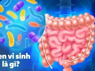 Tại sao men vi sinh tốt cho tiêu hóa và cơ thể khỏe mạnh?
