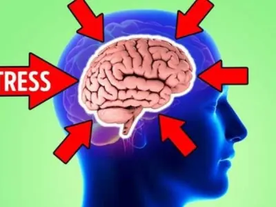 Tại sao stress ảnh hưởng nghiêm trọng đến não bộ?