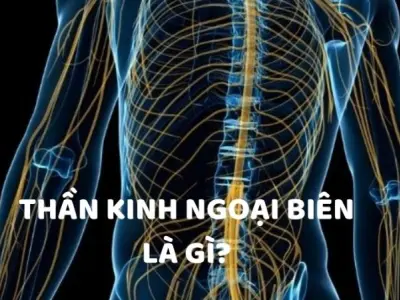 Dấu hiệu nhận biết chứng rối loạn thần kinh ngoại biên?