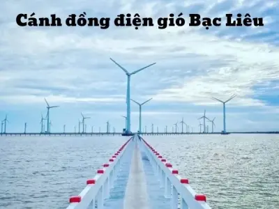 Cánh đồng điện gió Bạc Liêu - Biểu tượng năng lượng sạch