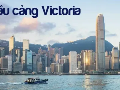 Trải nghiệm tuyệt vời tại Cầu cảng Victoria Hong Kong