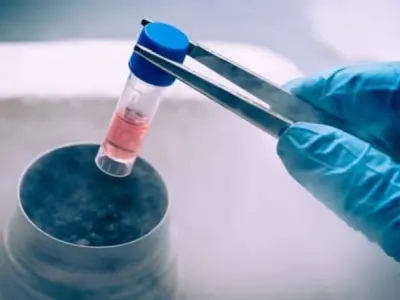 Tế bào gốc và bước tiến đột phá mới trong y học hiện đại