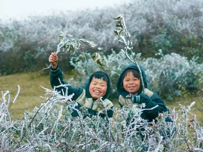 Vẻ đẹp mùa đông lạnh Yên Bái giữa núi rừng hoang sơ