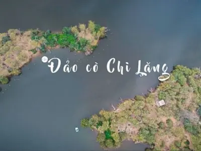 Đảo Cò Chi Lăng Nam – Trải nghiệm du lịch sinh thái độc đáo