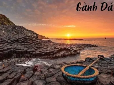 Gành Đá Đĩa - Kỳ quan thiên nhiên độc đáo của Phú Yên