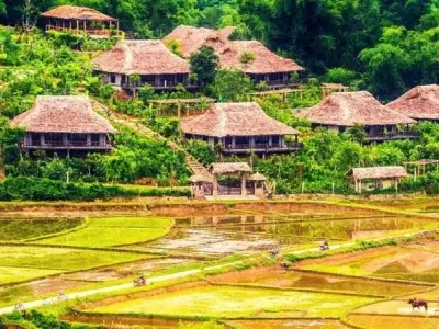 Ngắm ảnh mùa thu đồng lúa Hòa Bình vàng óng yên bình