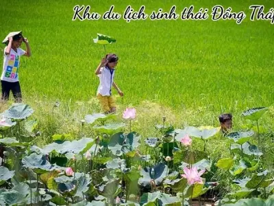 Khu du lịch sinh thái Đồng Tháp Mười vẻ đẹp miền sông nước
