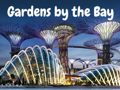 Gardens by the Bay – Biểu tượng xanh nổi bật Singapore