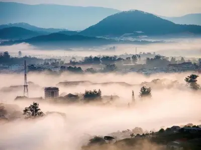 Ảnh mùa đông sương mù Đà Lạt mờ ảo và đầy quyến rũ