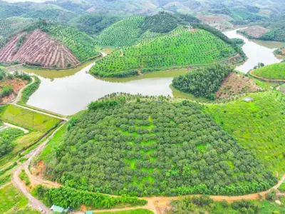 Khám phá Lâm Đồng – Vùng đất cao nguyên đầy thơ mộng