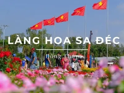 Làng hoa Sa Đéc - Nơi hội tụ sắc màu hoa bốn mùa miền Tây