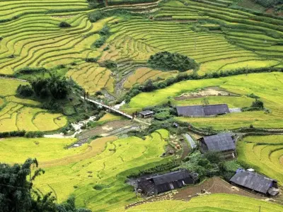 Check-in Lào Cai - Săn mây Y Tý, ngắm ruộng bậc thang tuyệt đẹp