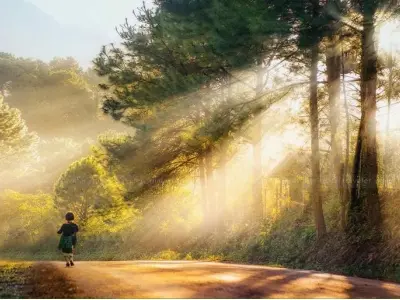 Mùa đông sương mù Gia Lai đẹp huyền ảo như mơ