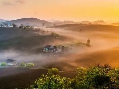 Mùa đông sương mù Mộc Châu đẹp như miền cổ tích