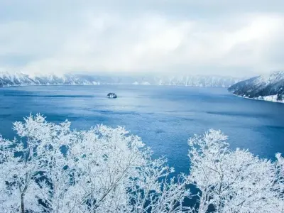 Mùa đông tuyết rơi Hokkaido Nhật Bản trắng xóa mê hoặc