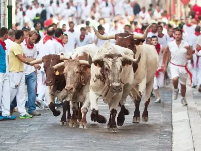 Mùa hè lễ hội Running of the Bulls Tây Ban Nha sôi động