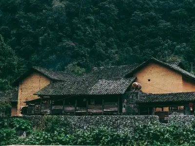 Ảnh mùa hoa cải trắng Hà Giang đẹp dịu dàng cuốn hút