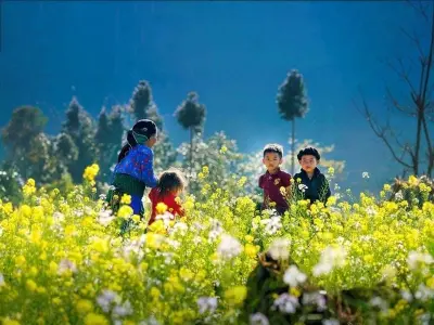 Ngập tràn sắc vàng mùa hoa cải ở Mộc Châu nên thơ