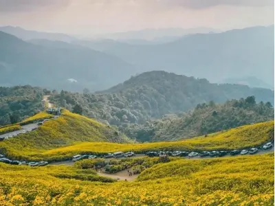 Ngắm ảnh mùa hoa dã quỳ Đà Lạt vàng rực trời thu