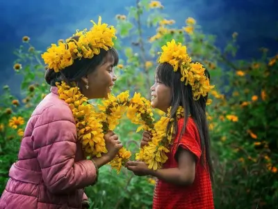 Ngắm mùa hoa dã quỳ Gia Lai vàng rực giữa núi đồi