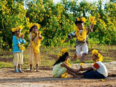 Khám phá mùa hoa dã quỳ Kon Tum vàng rực rỡ mê hoặc
