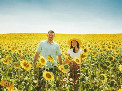 Mùa hoa hướng dương Argentina rực rỡ thu hút du khách