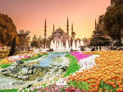 Ngắm mùa hoa tulip Thổ Nhĩ Kỳ rực rỡ sắc màu tự nhiên