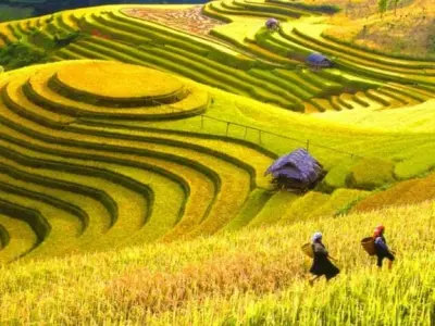 Khám phá biển Quy Nhơn mùa hè đầy quyến rũ và thơ mộng