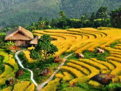 Gợi ý hành trình săn ảnh mùa thu đồng lúa Yên Bái