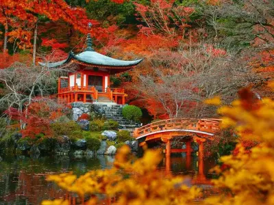 Mùa thu lá đỏ Kyoto Nhật Bản - Cảnh sắc mê hoặc lòng người