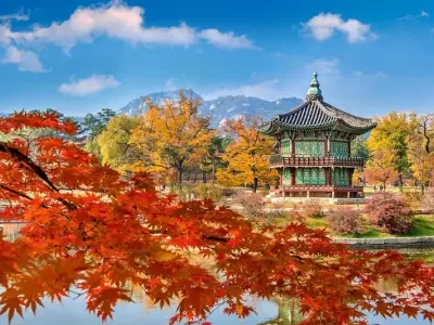 Trải nghiệm mùa thu lá đỏ Seoul Hàn Quốc rực rỡ sắc màu