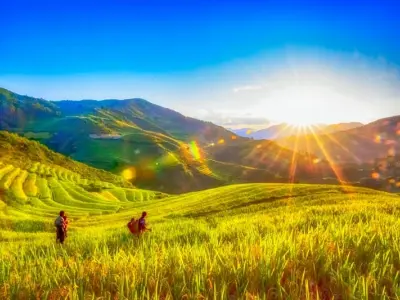 Ngắm mùa thu lúa chín vàng rực rỡ tại Điện Biên