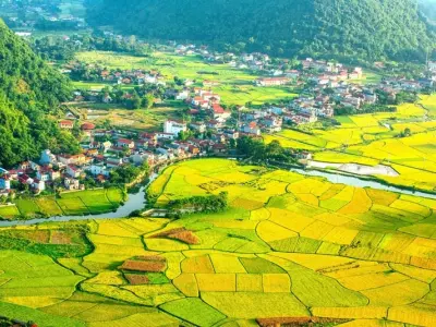 Khám phá mùa thu lúa chín Sơn La vàng óng rực rỡ tuyệt đẹp