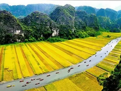 Bộ ảnh mùa thu lúa chín vàng rực rỡ ở Tam Cốc