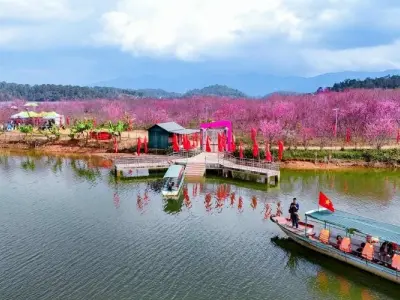 Khám phá mùa xuân hoa đào Điện Biên rực rỡ sắc hồng