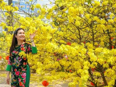 Khám phá mùa xuân hoa mai Kiên Giang rực rỡ sắc vàng