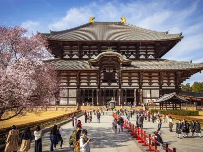 Nara – Thành phố cổ kính và thiên nhiên tuyệt đẹp của Nhật
