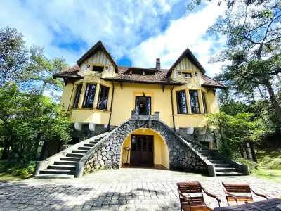 Chiêm ngưỡng ảnh Nhà biệt thự Đà Lạt sang trọng hiện đại