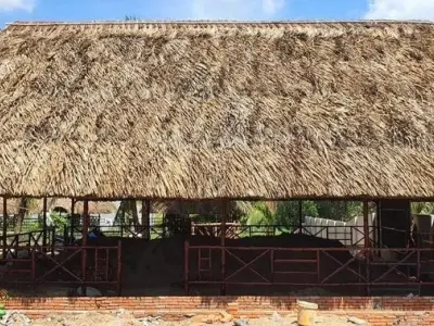 Tuyển chọn ảnh Nhà chòi Cà Mau bình yên giữa thiên nhiên