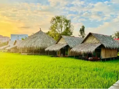 Chiêm ngưỡng ảnh Nhà chòi Đồng Tháp mang đậm hồn quê Việt