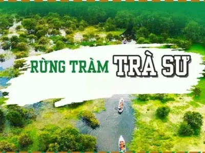 Rừng tràm Trà Sư - Địa điểm du lịch sinh thái tại An Giang