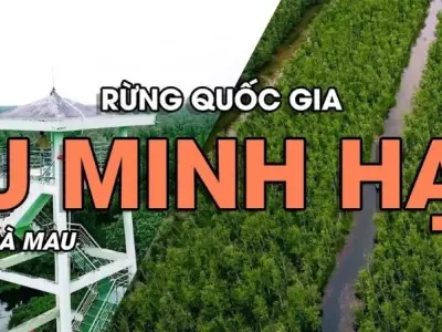 Rừng U Minh Hạ - Khu bảo tồn sinh thái miền Tây Nam Bộ