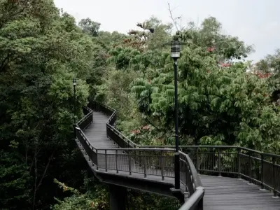 Khám phá Southern Ridges – Cung đường xanh giữa lòng đô thị