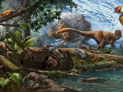 Sự xuất hiện đột ngột của động vật có vú gây tranh cãi