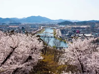 Trải nghiệm Suncheon với vẻ đẹp bình yên và thơ mộng