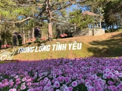 Thung lũng Tình Yêu - Vẻ đẹp huyền bí giữa rừng thông