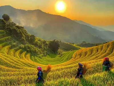 Mùa lúa chín Yên Bái rực rỡ giữa núi đồi Tây Bắc
