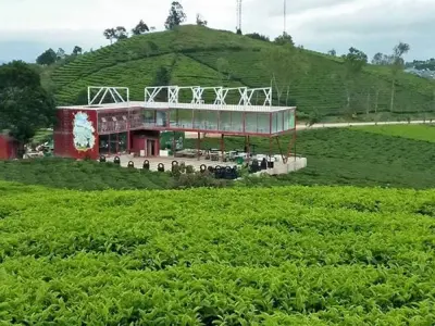 Tham khảo ngay bộ sưu tập ảnh Villa đồi chè Đà Lạt đẹp nhất