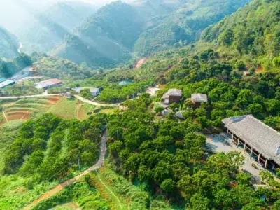 Ảnh Villa đồi chè Mộc Châu đẹp hiện đại giữa đồi xanh mát